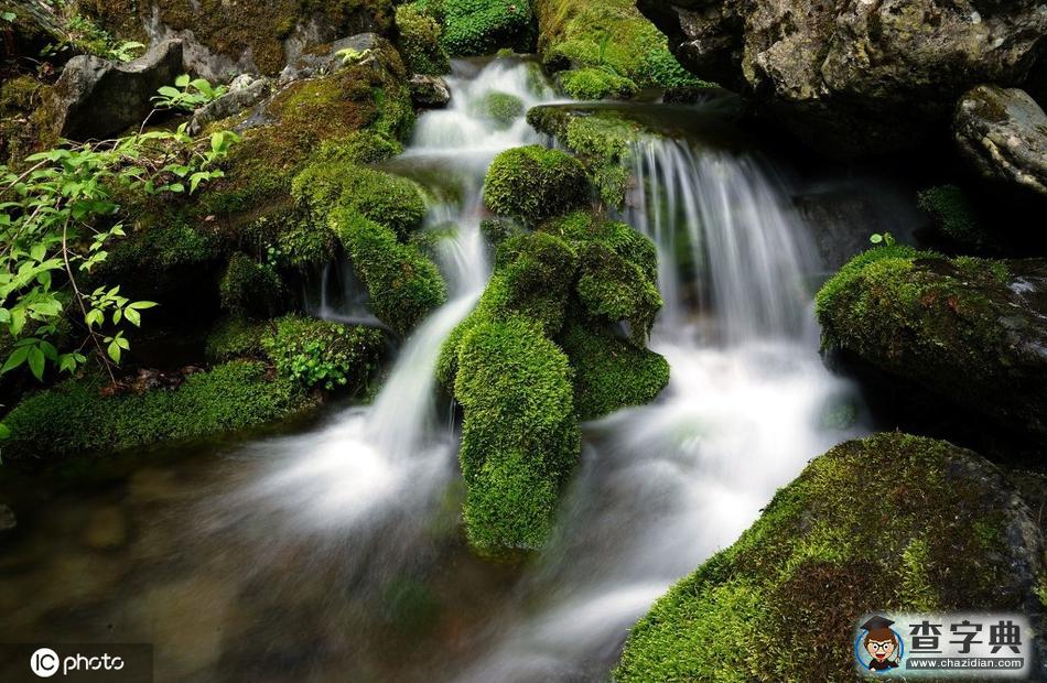 韓國江原道苔蘚山谷 水墨畫既視感美如畫卷16