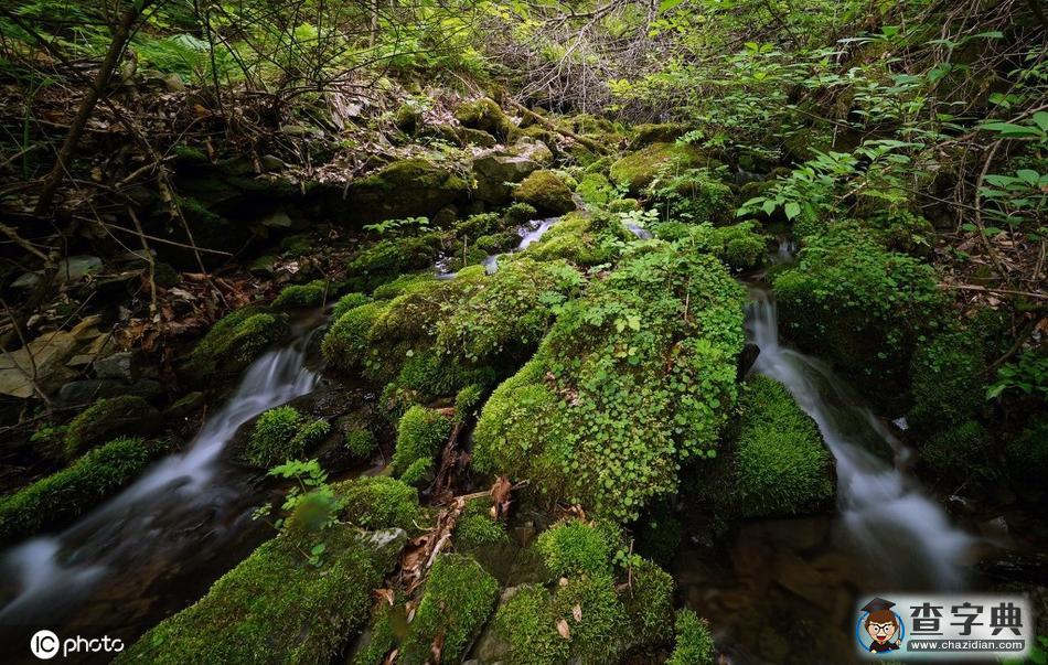 韓國江原道苔蘚山谷 水墨畫既視感美如畫卷10