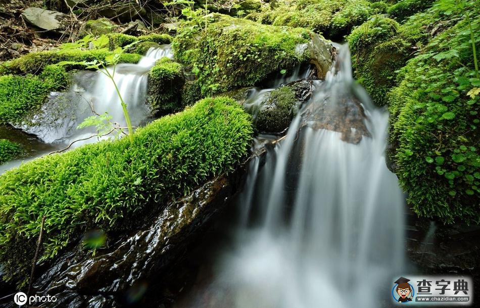韓國江原道苔蘚山谷 水墨畫既視感美如畫卷4