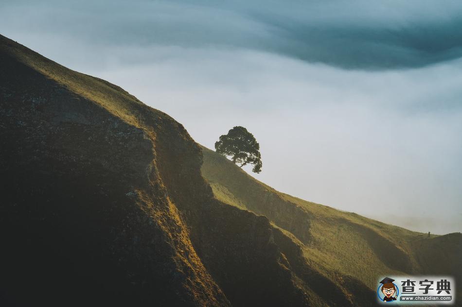英國峰區(qū)晨景 晨霧縹緲恍如仙境19