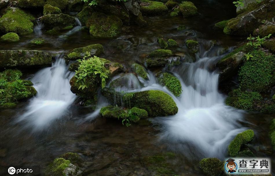 韓國江原道苔蘚山谷 水墨畫既視感美如畫卷7