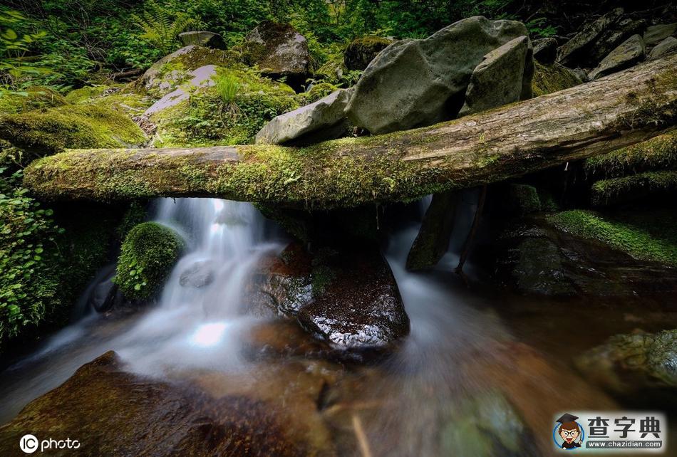 韓國江原道苔蘚山谷 水墨畫既視感美如畫卷19