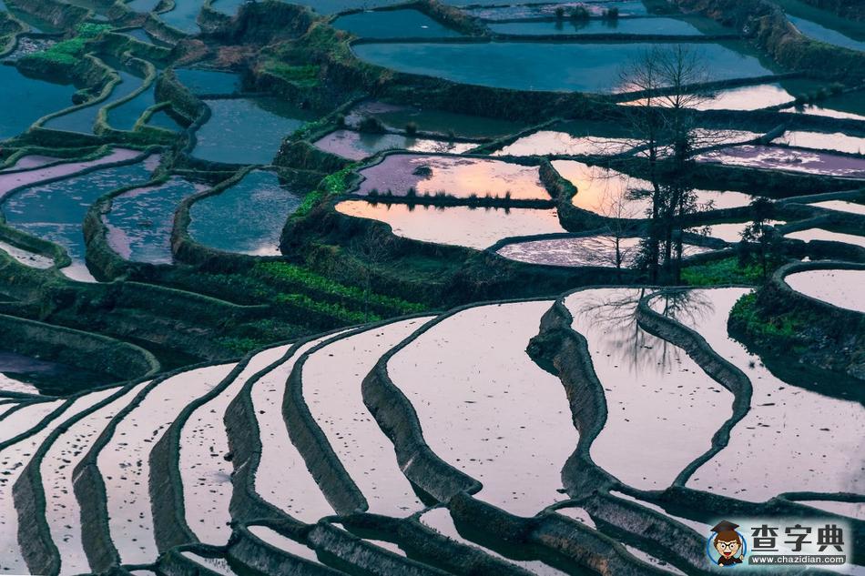 云南紅河元陽(yáng)梯田 大自然鬼斧神工的神奇畫作13