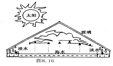 漳州私立學(xué)校高一地理期末檢測(cè)卷12