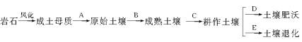 高中地理必修三《土壤》質(zhì)量檢測卷（含解析）1