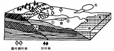 高一地理上學(xué)期期末試卷9