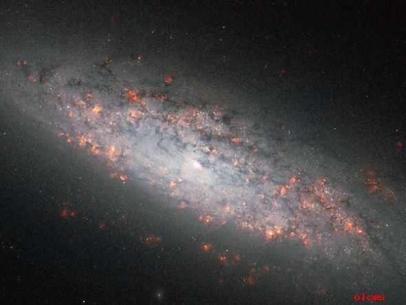 恒星形成地帶 恒星形成地帶