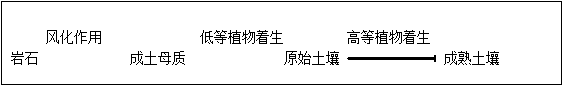 高一地理《土壤》教學(xué)設(shè)計