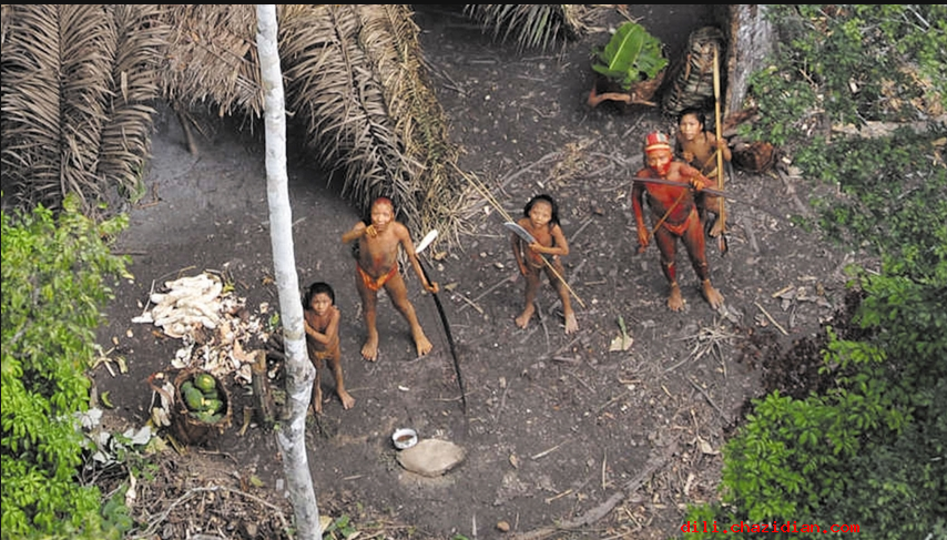 亞馬遜地區(qū)與世隔絕的巴西原始部落人類走出叢林