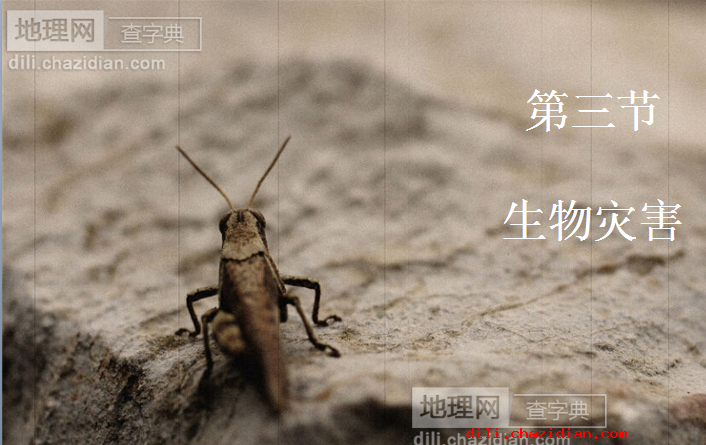 生物災(zāi)害地理課件