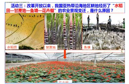 《農業(yè)的區(qū)位選擇》重難點分析