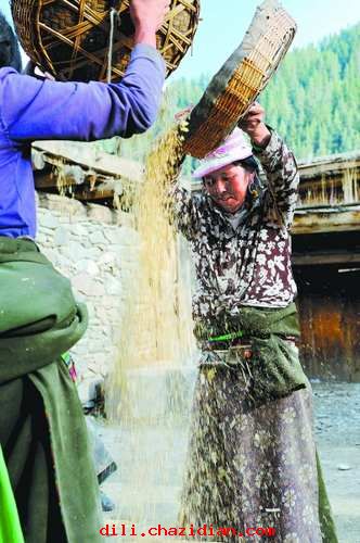 探訪百年藏寨：原生態(tài)和現(xiàn)代生活的碰撞