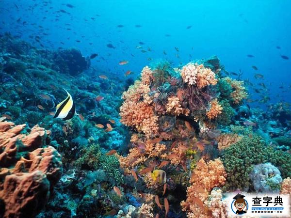 海洋生物地理學