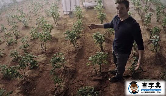 科學家稱可以在火星上種植農(nóng)作物
