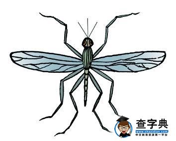 蚊子雨