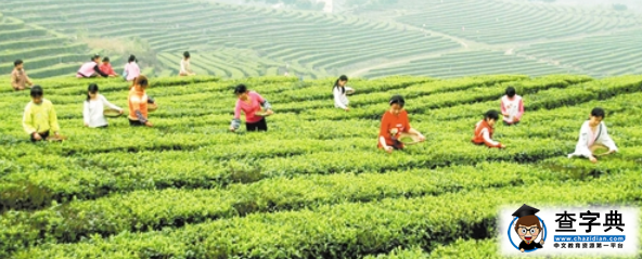 農(nóng)業(yè)資源的分類