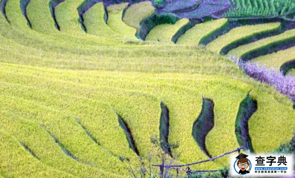 農(nóng)業(yè)資源的分類