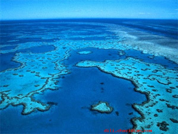 世界上最大的海：珊瑚海