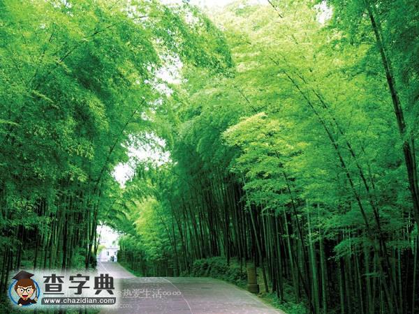 中國(guó)100座名山（四）3