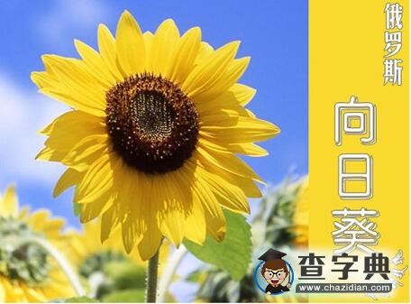 地跨歐、亞兩洲的國家俄羅斯(6)1
