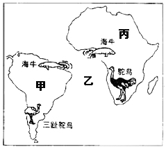 《第二節(jié)海陸的變遷》測試題8