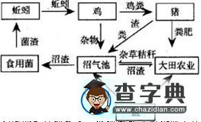 高考地理備考:整合優(yōu)化人地關(guān)系問題2