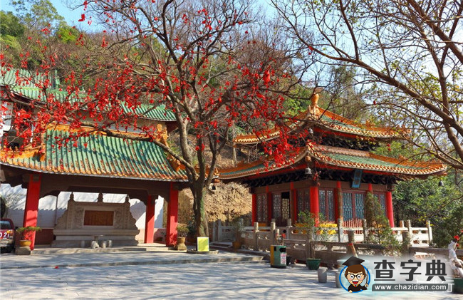江門旅游景點哪個好玩的地方 江門好玩的地方和景點9