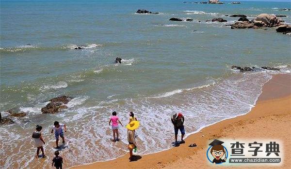 南海在哪里屬于哪個(gè)省 南海海鮮品種3