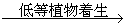 高中地理必修三《土壤》教學(xué)設(shè)計(jì)2