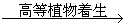 高中地理必修三《土壤》教學(xué)設(shè)計(jì)3