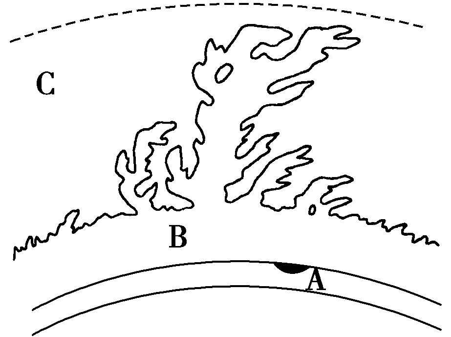 新人教版必修1高中地理 1.2 《太陽(yáng)對(duì)地球的影響》學(xué)案 